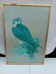 Buy Woodblock Coloured Print Of Lanner Falcon , Design By H J Sliper, Art Deco  • 10£