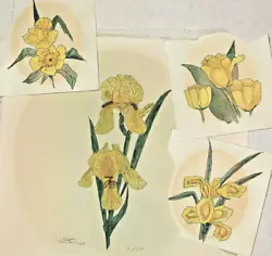 Buy LOT 4 Watercolor Paintings  Signed Artist Unknown  Daffodils • 10.74£