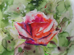 Buy EUN - Original Red Rose Flower Watercolor Botanical Painting Signed • 41.34£