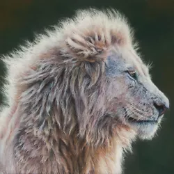 Buy ORIGINAL WILDLIFE PAINTING OF A LION - 20x20  FINE ART PASTEL By PAUL HINKS • 99£