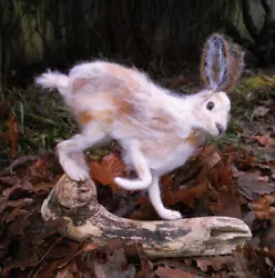 Buy Hare, Snow Hare, Lievre - Needle Felted Animal Sculpture, OOAK, • 144£