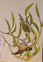 Buy Watercolour From Local Artist, 29cm X 21 Cm,  Two Birds 21cm X 29cm • 3£
