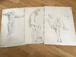 Buy Antique Male Nude Studies In Pencil 1925 By Mildred Powell . 50 X 28 Cm • 30£
