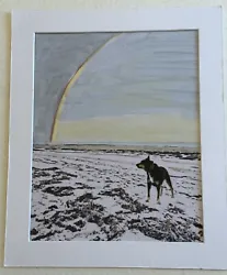 Buy Watercolour Painting By Mark Leary Kelpie On Beach With A Rainbow In Back Ground • 25£