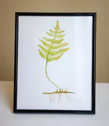Buy  FERN - NEW Original Watercolour Painting, Hand-painted CLEARANCE • 30£