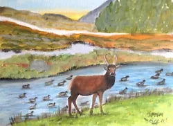 Buy Original Water Colour Painting Of A Stag In Scottish Glens • 20£