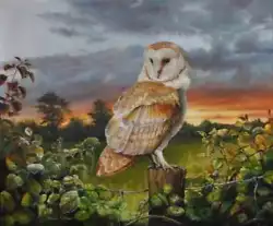 Buy NEW ORIGINAL SARAH CORNER  Barn Owl At Sunset  Wild Bird OIL ON LINEN PAINTING • 2,950£