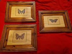 Buy 3 X Vintage Framed Pictures Of Butterflys • 20£
