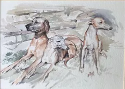 Buy Three Handsome  Dogs 2 Greyhounds —-watercolour On Paper Signed • 37£