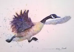 Buy ORIGINAL Signed Watercolour Painting GOOSE Bird Duck Wildlife Art Clare Crush • 23.99£