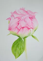 Buy Original Watercolour Painting Flowers. Peony III. Malgorzata Lis. COA • 9.99£