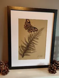 Buy Original Painting 'The Botanical Series' Signed, Framed, Nature, Butterfly, Fern • 25£