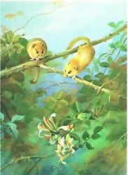 Buy Dormice And Honeysuckle,  A Print Of A Painting By Archibold Thorburn. • 1.99£