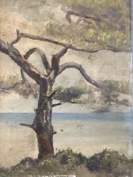 Buy Beautiful Painting Oil Panel Wood 1920 Landscape Tree Antique Signed To Identify • 149.15£