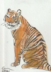 Buy ACEO Art Card Tiger Seated Original Watercolour Painting With Ink Cats Animal  • 5£