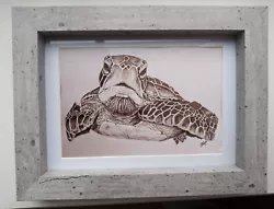 Buy TURTLE 6x4  Unframed Matt Photo Print Picture Love Sealife Gift Drawing • 1.20£
