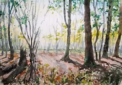 Buy Woodland Forest Trees Walk Countryside Nature Original Watercolour Painting • 45£