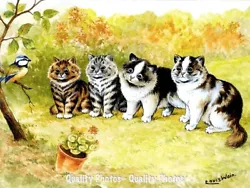 Buy Young Cats Watching Bird 8.5x11  Photo Print Louis Wain Whimsical Painting Art • 7.74£