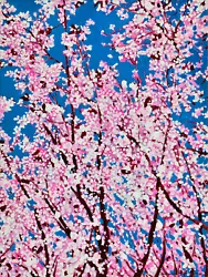 Buy Alex Nizovsky — CHERRY BLOSSOM #4 — Expression Pop Art Floral Painting 18 X24  • 786.71£