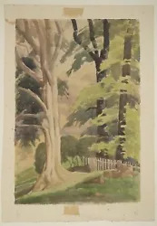 Buy Tree Study Watercolour Painting Of Ken Wood Near Norfolk 1935 - British Artist • 90£