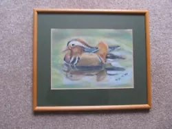 Buy Wildfoul Mandarin Duck, Acrylic Painting,  Painted By Evalyn S Kay. 40 X 34 Cms. • 3£