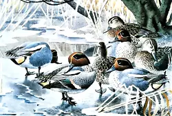 Buy .teal Under Tree On A Frozen Pond. Vintage Print Of A Painting By Tunnicliffe • 2.39£
