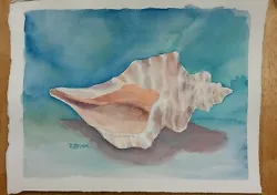 Buy  Conch 1  Original Watercolor Painting RAMfish Artist Ocean Seashell Beach • 189£