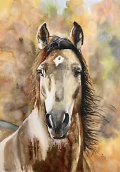 Buy COA Original Watercolor Painting Art Horse Portrait Spanish PRE 12”x16” Vintage • 126£