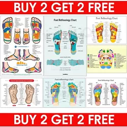Buy Foot Reflexology Labelled MedialLateral COLOUR CODED Chart Holistic POSTER PRINT • 4.99£
