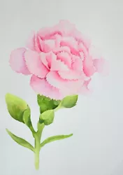 Buy Original Watercolour Painting Flowers. Carnation. Malgorzata Lis. COA • 9.99£