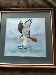 Buy A Watercolour Painting Of A Bird Of Prey Catching A Fish By F C Smith..Eagle • 1.25£