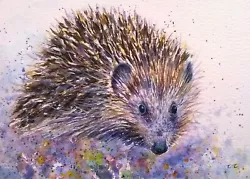 Buy ORIGINAL Signed Watercolour Painting HEDGEHOG Animal Wildlife Art Clare Crush • 23.99£