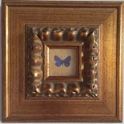 Buy Blue Butterfly Original Oil Painting On Stretched Canvas Framed Minimalism • 103.36£