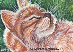 Buy ACEO Original Ginger Tabby Cat Painting This Is The Life Anne Marsh Feline Art • 29.99£