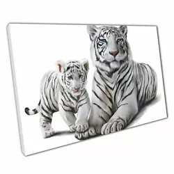 Buy White Tiger Mother And Cub Watercolour Painting Illustration Style Print Canvas • 9.70£