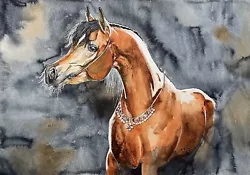 Buy COA Original Watercolor Art Painting Arabian Horse Portrait 12”x16” Vintage • 126£
