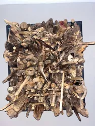 Buy Driftwood Art- 345 Hand Picked Natural Pieces Of Driftwood 22  X 20  X 10  • 212.62£