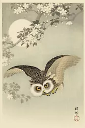 Buy Ohara Koson - Scops Owl Cherry Blossoms And Moon - Painting Poster Print Art • 7.50£