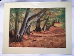 Buy Original Pastel Painting, Mounted, Autumn In Ashridge Woods. • 45£