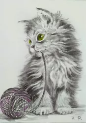 Buy ACEO Cat Drawing Watercolor Pencil By The Author Original Not Print • 12.24£