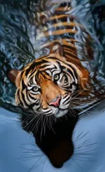 Buy Digital Image Picture Photo Pic Wallpaper Background Tiger Water Cat AI ART • 1.23£