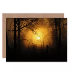Buy Birthday Painting Sunset Forest Silhouette Blank Greeting Card With Envelope • 4.42£