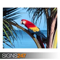 Buy PARROT BEACH (3668) Animal Poster - Picture Poster Print Art A0 A1 A2 A3 A4 • 1.10£