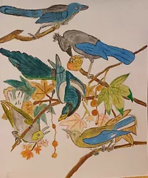 Buy Watercolour From Local Artist, 29cm X 21 Cm,  Five Birds 21cm X 29cm • 3£
