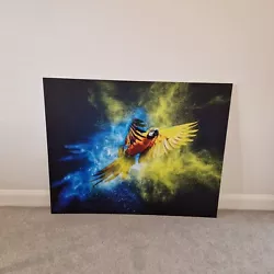 Buy Large Parrot Painting/print • 0.99£
