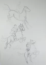 Buy Original Pencil Sketch,'Study Of Mounted Horses', Helen Collins (1921-1990) • 44£