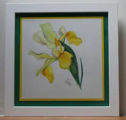 Buy YELLOW IRIS Flower - Watercolour & Pencil Painting By Devon Artist THELMA NEWELL • 25£