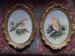 Buy Astunning Pair Of Bird Studies By Local Norfolk Artist Arthur A Pank • 210£