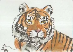 Buy ACEO Art Card Tiger Stare Original Watercolour Painting With Ink Cats Animal  • 5£