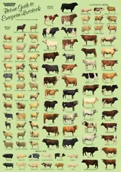 Buy Farmers Weekly Magazine Guide To European Livestock Tractor Poster Brochure (A3) • 5.95£